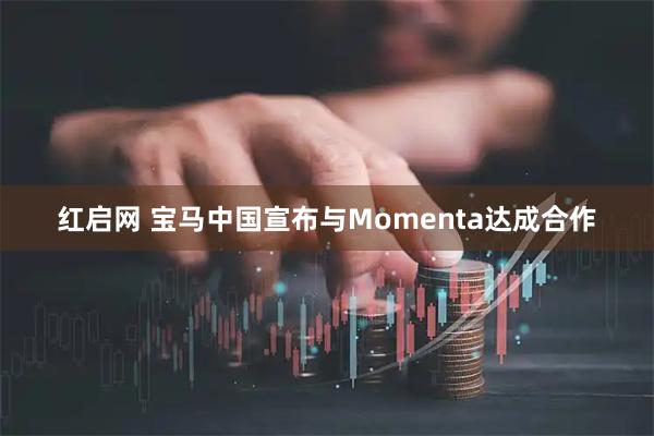 红启网 宝马中国宣布与Momenta达成合作