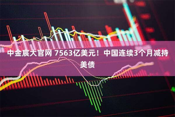 中金宸大官网 7563亿美元！中国连续3个月减持美债