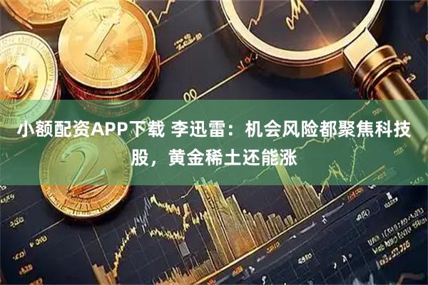 小额配资APP下载 李迅雷：机会风险都聚焦科技股，黄金稀土还能涨